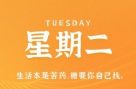 2月21日，星期二，在小新个人网站了解世界！