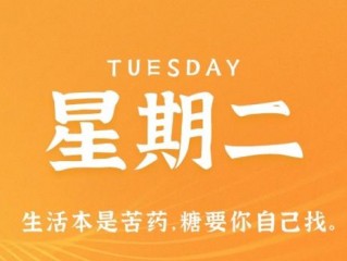 2月21日，星期二，在小新个人网站了解世界！