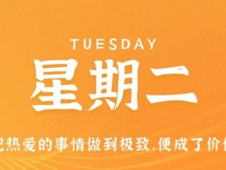 2月7日，星期二，在小新网站了解世界！