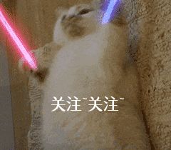 区分柴犬和“土狗”，快看过来，教你区分
 第10张