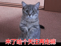 狗狗交配完成后母狗转身就会攻击公狗，这是为什么？
 第10张