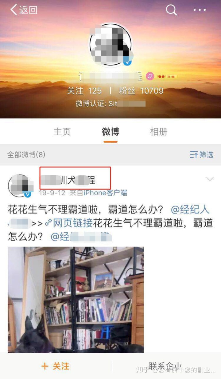 狗是人类最好的朋友这句话，训狗教程来变现 第2张