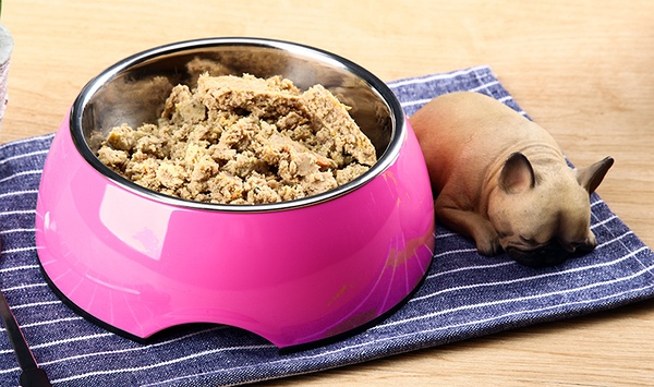 狗狗肠胃一次性难易消化怎么办？如何养护狗狗消化不良？