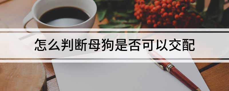 狗狗是否可以进行交配的年龄？兽医会告诉你！